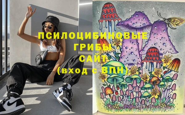 эйфоретик Алексин