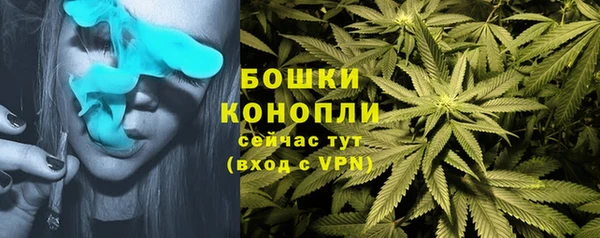 спайс Кодинск
