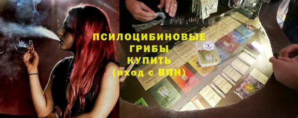 стаф Абинск