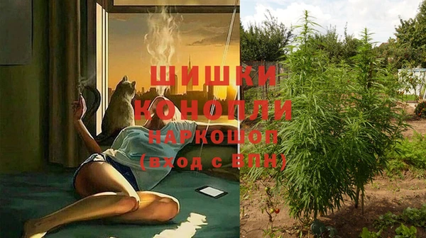 стаф Абинск