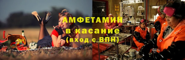ПСИЛОЦИБИНОВЫЕ ГРИБЫ Козловка