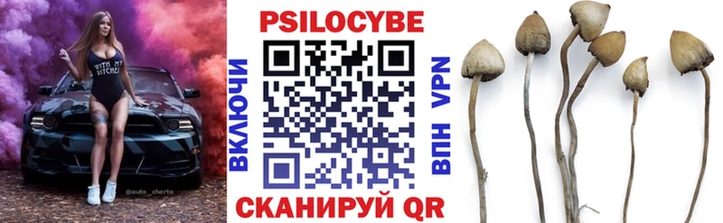 купить закладку Усмань Галлюциногенные грибы GOLDEN TEACHER